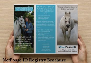 NetPosse ID Registry Brochure